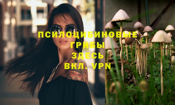 бошки Балахна